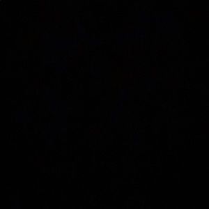 Meet your Posher, Angelica